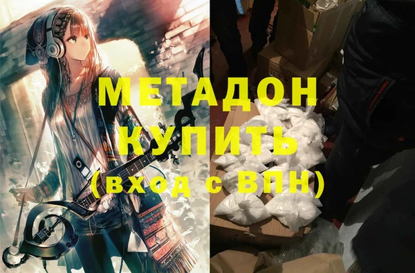 прущие грибы Верхний Тагил