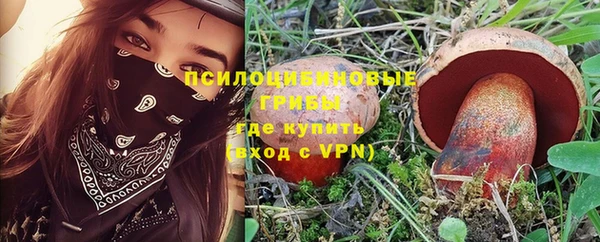 дурь Бронницы