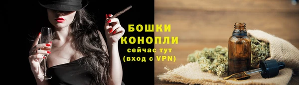 дурь Бронницы