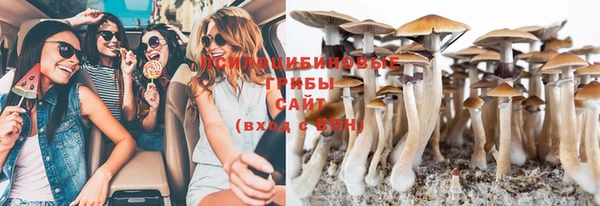 дурь Бронницы