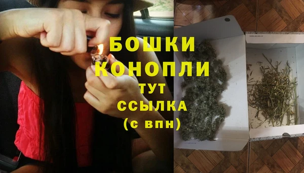 крисы Белокуриха