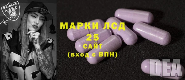 прущие грибы Верхний Тагил